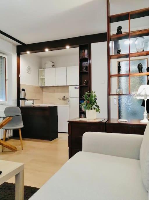 Dorcol Hideaway Daire Belgrad Dış mekan fotoğraf